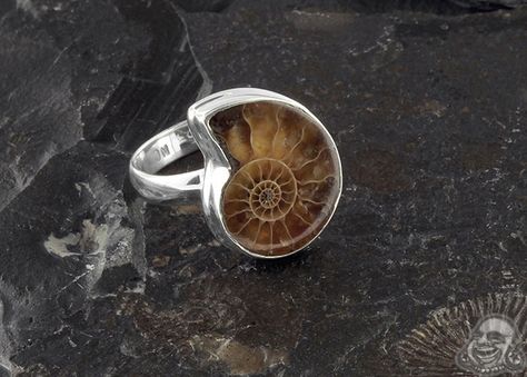 Silver and ammonite ring Ammonite Ring, Ring, Silver