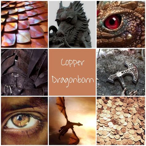 Copper Dragonborn, Gladiator Ring, Roll Play, Fantasy Aesthetics, Copper Dragon, Dnd Races, Moodboard Inspo, Writing Inspiration Prompts, Inspo Art