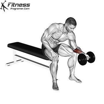 Forearm Exercises Men, Wrist Workout, Best Forearm Exercises, Forearm Exercises, Arm Training, 300 Workout, Concentration Curls, Best Abdominal Exercises, Fitness Studio Training