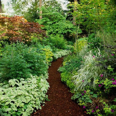 Shade Garden - a path mulched with dark wood chips becomes a stunning focal point when surrounded by white-variegated bishop's weed, ornamental grasses, or golden groundcovers Shade Garden Design, Taman Air, Lots Of Plants, Smart Garden, Garden Shrubs, Wood Chips, The Secret Garden, Woodland Garden, Garden Pathway