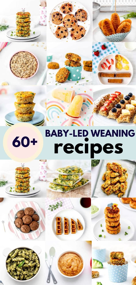 If you’re looking for more options to include in your baby’s menu, check out these healthy baby led weaning recipes! Each one is formulated specifically for babies and toddlers, and they make it so much easier to feed them nourishing, healthy meals every day! Remember to save these ideas for later for quick inspiration! 9 Month Baby Led Weaning, 8 Month Old Meal Ideas Blw, Easy Baby Recipes Food Ideas, Baby Led Weaning First Foods 6 Months Meal Ideas, 101 Before One Recipes, Blw Recipes 12 Months, 7 Month Baby Led Weaning Food Ideas, Infant Meal Prep, Baby Led Weaning 8 Months Meals