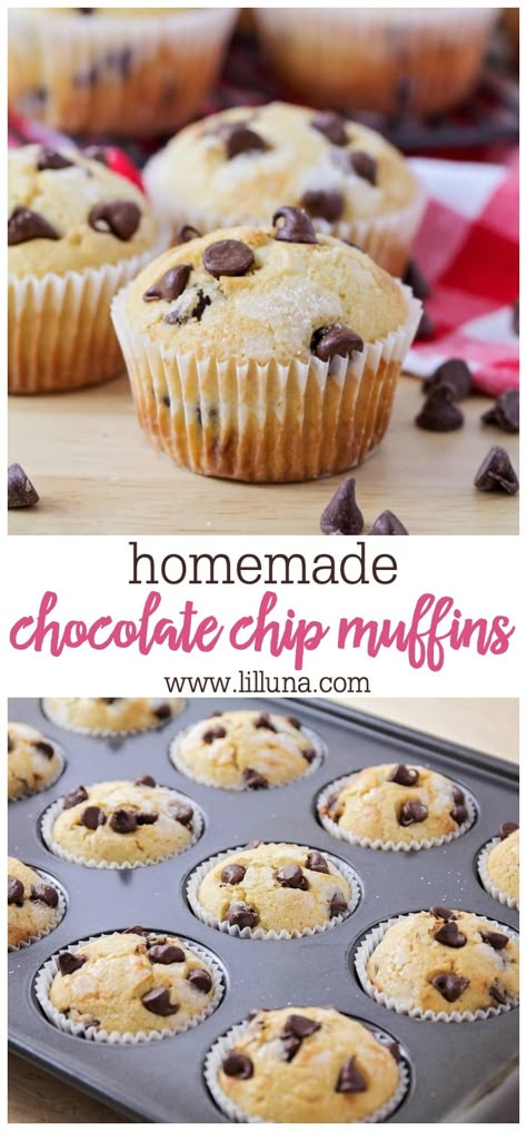 Homemade Chocolate Chip Muffins, Nutella Muffin, Chocolate Chip Muffin Recipe, Homemade Chocolate Chips, Simple Muffin Recipe, Low Carb Muffins, Homemade Muffins, Wontons, Chocolate Chip Muffins