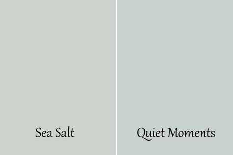 Benjamin Moore Quiet Moments Kitchen, Rain Dance Benjamin Moore, Benjamin Moore Ocean Air Bedroom, Benjamin Moore Quiet Moments Bathroom, Best Green Paint Colors Benjamin Moore, Quiet Moments Benjamin Moore Bathroom, Quiet Moments Benjamin Moore Bedroom, Smokey Green Benjamin Moore, Moody Blue Green Paint Colors