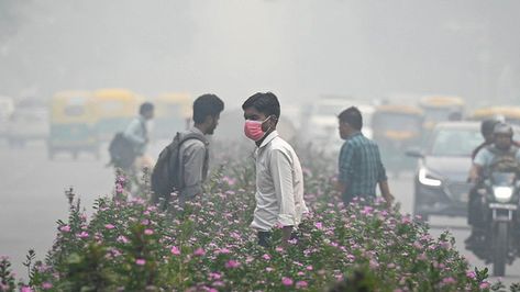 Delhi Pollution, World Cup Match, World Cup 2023, Indian Government, Saturday Afternoon, Air Pollution, News India, Health Professionals, Air Quality