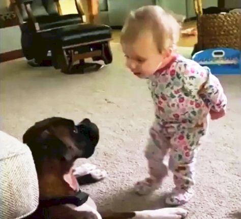 Baby Humour, Funny Talking Dog, Make A Lampshade, Dekoratívne Vence, Talking Dog, Cute Babies Photography, Dancing Baby, Cute Funny Babies, Love Baby