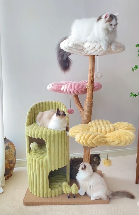 Cat Trees Aesthetic, Cat Hideaway Diy, Cute Cat Trees, Cat Tree Aesthetic, Cat Tower Ideas, Mushroom Cat Tree, Aesthetic Cat Tree, Cat Trees For Large Cats, Cute Cat Tree