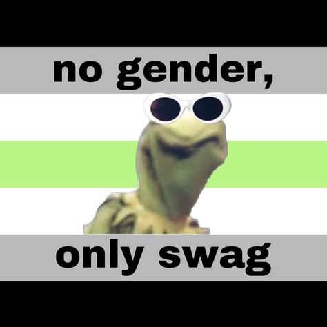 Agender Memes Funny, Agender Pfp, Lgbt Memes, Lgbtq Funny, Gay Memes, Lgbt Art, Gender Identity, Lgbt Pride, Lgbtq Pride