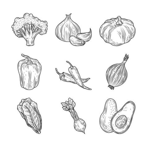 Simple Vegetable Drawings, Veg Tattoo, Vegetables Tattoo, Broccoli Tattoo, Carrot Sketch, Onion Tattoo, Garlic Tattoo, Carrot Tattoo, Broccoli Drawing