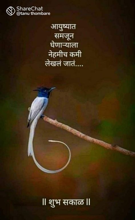 Good Morning Marathi Quotes, Hindi Calligraphy, Apj Quotes, White Quotes, Black & White Quotes, Hindi Good Morning Quotes, Good Morning Image Quotes, Positive Quotes For Life Motivation, Karma Quotes