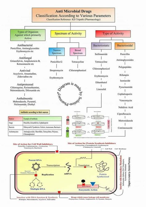 Food Microbiology Notes, Antibiotics Chart, Pharmacy School Study, Pharmacology Mnemonics, Charting For Nurses, Nursing School Studying Cheat Sheets, Medical Terminology Study, Physician Assistant School, Doctor Quotes Medical