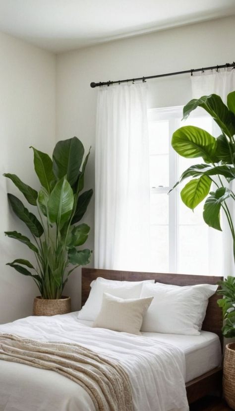 Large Plant In Bedroom, Eco Friendly Bedroom, 2024 Bedroom, Bedroom Wall Decor Ideas, Bedroom Redo, Bedroom Plants, Spider Plants, Room With Plants, Bedroom Refresh