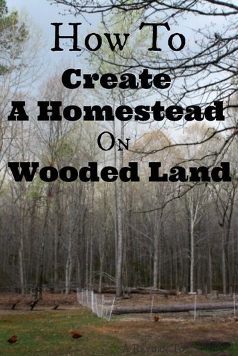 Off Grid Homestead, Homestead Farm, Future Farms, Homesteading Skills, Homestead Living, Hobby Farm, Urban Homesteading, Mini Farm, Living Off The Land