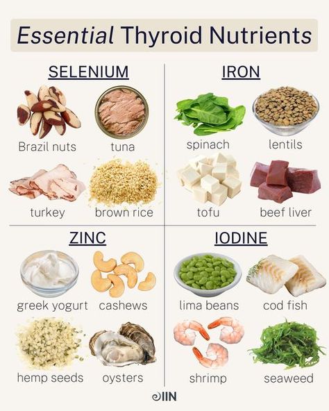 Integrative Nutrition - IIN on Instagram: "The thyroid is a vital hormone gland that regulates many bodily functions — its main job being to control metabolism, aka how the body uses energy.⚡️ When your thyroid isn’t working properly, it can impact your entire body, and thankfully for many, following a nutrient-dense diet is enough to maintain optimal thyroid function. #nutritionschool #thyroid #thyroidhealth #hormonehealth #hormones #womenshealth #nutritiontips #healthyeats" Diet For Hyperthyroid, Thyroid Foods To Eat, Thyroid Symptoms Natural Treatments, Healthy Thyroid Diet, Supplements For Thyroid Health, Thyroid Supplements Vitamins, Under Active Thyroid Diet, Food For Thyroid Health, Thyroid Diet Plan Meals