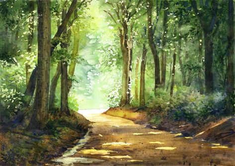 Watercolor Tree, Art Watercolor Painting, Forest Path, Landscape Background, Forest Painting, 수채화 그림, Tableau Art, Impressionism Art, Watercolor Landscape Paintings