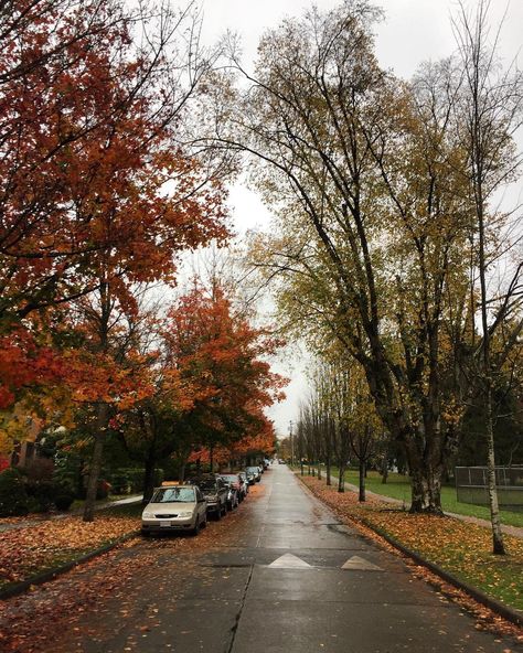 Michael Seidelman on Instagram: “A rainy autumn day in Vancouver’s Dunbar neighbourhood.” Autumn In Vancouver, Vancouver Autumn, Rainy Vancouver, Rainy Autumn Day, Vancouver Neighborhoods, Autumn Moodboard, Rainy Autumn, Board Collage, Vision Board Collage