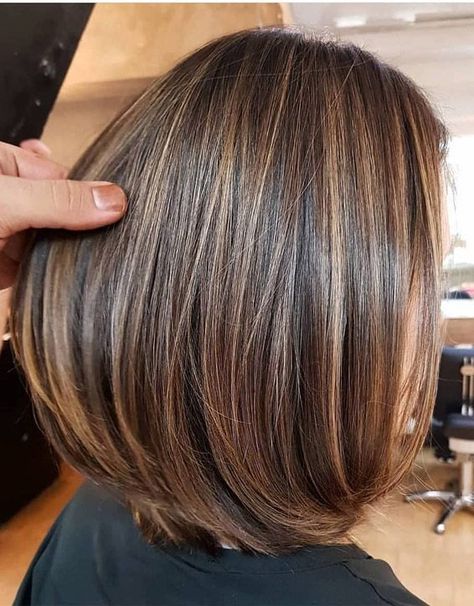 Tuns Bob Lung, Highlights Brown Hair Short, Golden Highlights Brown Hair, Highlights Brown Hair Balayage, The Best Hair Color, Brown Hair With Caramel Highlights, Short Hair Highlights, Best Hair Color, Brown Hair Shades