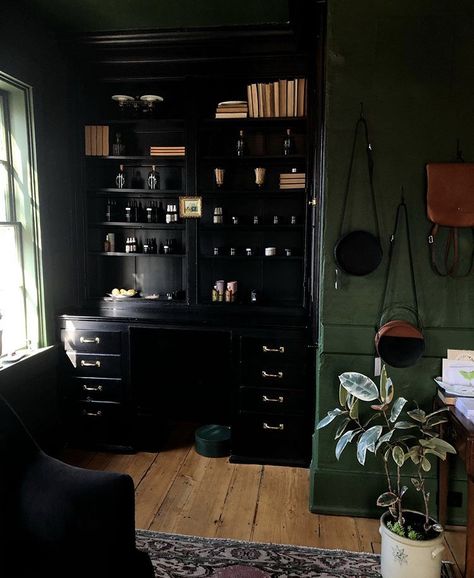 Dark Academia Scandinavian Interior, Goth Green Room, Dark Victorian House Interior Design, Black And Green Library, Dark Acedamia Living Room Ideas, Dark Academia Room Green, Dark Eclectic Home Bedroom, Moody Rental Apartment, Goth Study Room