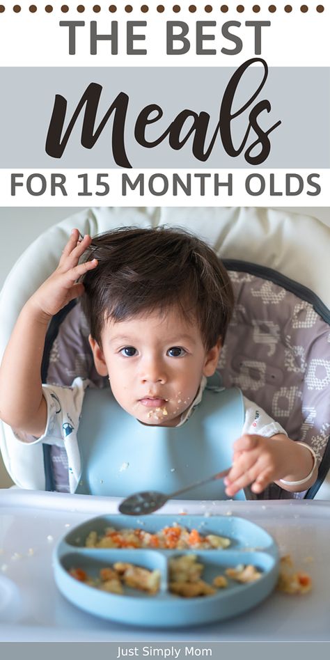 Use our list of the best meals for 15 Month Olds olds to plan breakfasts, lunches, dinners, and snacks that your toddler will love! 16 Month Old Meal Ideas, Meals For My 12 Month Old, 15 Month Old Meals Picky Eaters, 15 Month Old Meals Ideas, 13 Month Old Lunch Ideas, 15 Month Old Food Ideas, Meals For 13 Month Old, Meals For 16 Month Old, Food For 15 Month Old