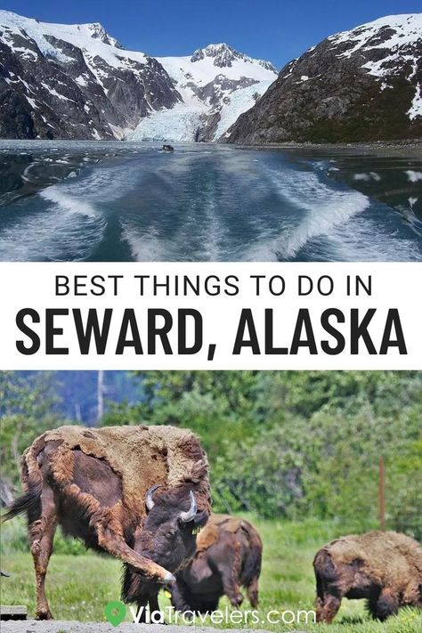 Things To Do In Seward Alaska, Lake Clark National Park Alaska, Orca Island Alaska, Kenai River Alaska, Best Time To Visit Alaska, Seward Alaska Things To Do In, Seaward Alaska, Visiting Alaska, Scrapbooking Alaska