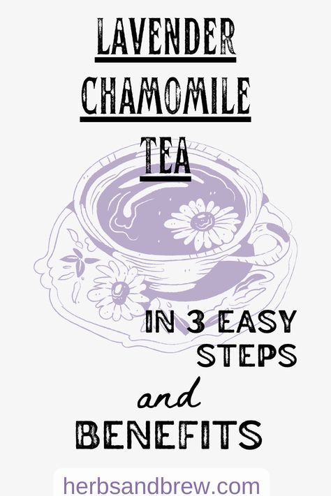 Lavender Chamomile Tea in 3 Easy Steps (and Benefits) - leads to a list of proven benefits of chamomile and lavender, with a recipe for tea and an option to make it a latte Lavender Tea Benefits, Lavender Chamomile Tea, Chamomile Recipes, Lavender Latte Recipe, Chamomile Tea Recipe, Tea Recipes Loose Leaf, Benefits Of Chamomile, Hot Tea Recipes, Lavender Latte