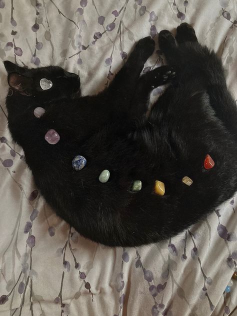 Black Cat With Crystals, Witchy Spiritual Aesthetic, Black Cat Witch Aesthetic, Crystals For Cats, Crystal Core Aesthetic, Crystals Aesthetic Witch, Cats With Crystals, Black Cats Aesthetic, Cat With Crystals