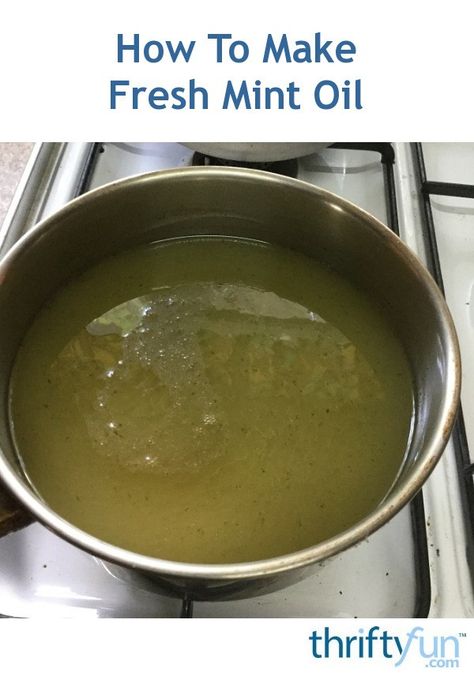 Mint Oil Recipe, Mint Recipes Fresh, Make Salad Dressing, Dehydrating Fruit, Starch Recipes, Salads To Make, Peppermint Plants, Cook Fish, Mint Essential Oil