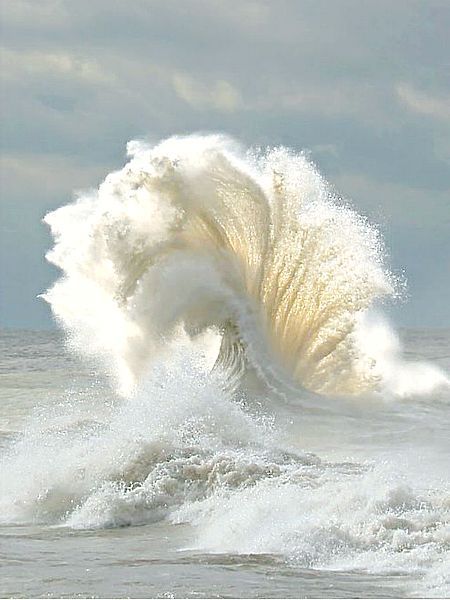 5th and state Ocean Wave, Jolie Photo, Alam Yang Indah, In The Ocean, Ocean Life, Ocean Beach, Ocean Waves, Amazing Nature, Third Eye