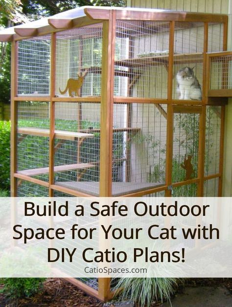 It's easy to build a catio with DIY Plans Catio Plans, Diy Cat Enclosure, Cat Playground Outdoor, Cat Enclosures, Cat Patio, Cat Pen, Outdoor Cat Enclosure, Cat Run, Outdoor Cat House