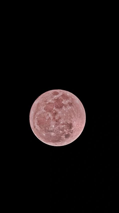 Pink Moon Wallpaper, Cute Home Screen Wallpaper, Teddy Bear Wallpaper, Cute Home Screens, Cross Wallpaper, Ghibli Artwork, Planets Wallpaper, Phone Inspiration, Iphone Organization