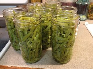 Pressure canning French style green beans. French Green Bean Recipes, Canning Peppers, Green Pepper Recipes, Pickled Jalapeno Peppers, Pickle Vodka, French Green Beans, Garlic Cheese, Green Bean Recipes, Dill Pickle