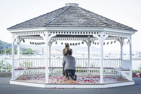 Gazebo Proposal, Decorated Gazebo, Wedding Proposal Ideas Engagement, New York Engagement, Best Wedding Proposals, Surprise Engagement, Proposal Photography, Engagement Proposal, Newly Engaged Couple