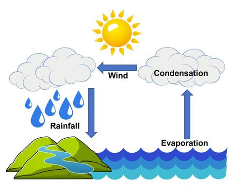 Water Cycle In A Bag, Rain Cycle, Preschool Activities Printable, Activities Printable, Form Drawing, Camp Crafts, Rain Art, Water Cycle, Grey Skies