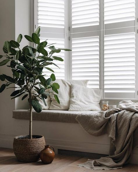 Brixton Home on Instagram: "Ficus Audrey hanging out by the window. Can you spot the snack jar?! . Photograph from today’s shoot for @plantdroplondon. Throw previously #gifted by @pigletinbed. . #stilllifephotography" Ficus Benghalensis, Natural Air Purifier, Remove Toxins, Fiddle Leaf, Fiddle Leaf Fig, Decorative Pots, Fig Tree, Apartment Inspiration, Cool Plants