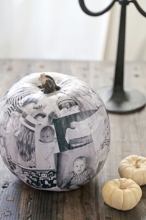 Decoupage Photo Pumpkin - This no-carve pumpkin craft doubles as delightful home decor. Use a faux pumpkin and decoupage glue for this project. Carving Gourds, Easy Pumpkin Decorating, Pumpkin Patch Birthday, Decoupage Pumpkins, Pumpkin Patch Party, Hallowen Ideas, Labu Halloween, Pumpkin Birthday, Faux Pumpkins