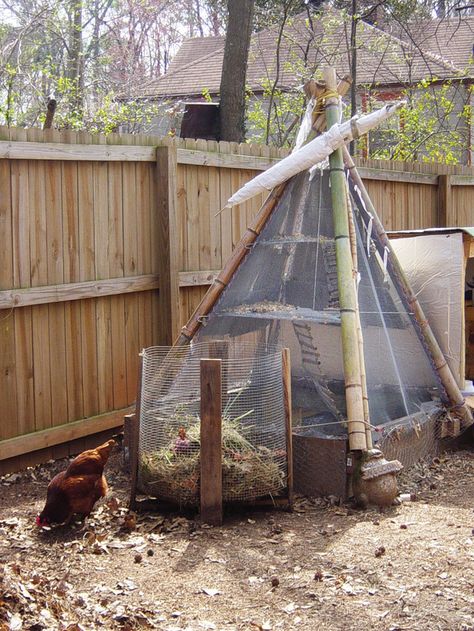 Teepee Chicken Coop, Bamboo Chicken Coop, Duck Pets, Chicken Housing, Chicken Coop Large, Bamboo Ideas, Bin Chicken, Vege Garden, Chicken Raising