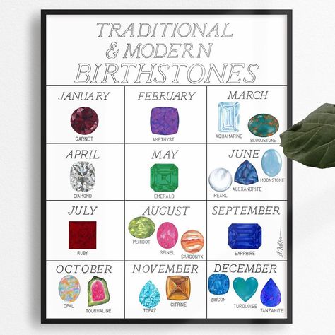 Juler's Row on Instagram: “When you work in jewelry you are often asked what birthstone coordinates with a specific month, I can never remember... Now I don’t have to…” Gemstone Artwork, Birthstone Chart, Watercolor Rendering, Birth Stones Chart, Portrait Canvas, Traditional Modern, Watercolor On Paper, Journal Stationery, Handmade Gold