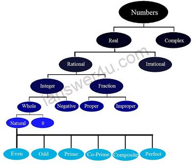 classification of numbers, types of numbers, number system wikipedia Number System Math, Types Of Numbers, Math Formula Chart, Sets Math, Teaching Math Strategies, Math Lab, Math Quotes, Math Charts, Learning Mathematics