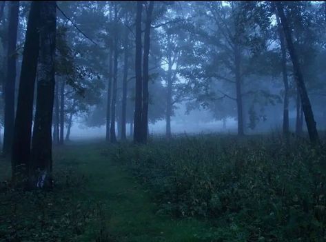 Teal Aesthetic, Foggy Forest, Dark Paradise, Pretty Landscapes, Blue Hour, Nature Aesthetic, Pretty Places, Blue Aesthetic, Dark Aesthetic