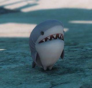 Shark Profile Pic, I Heart Sharks Pfp, Cute Shark Icon, Silly Sea Animals, Shark Pfp Anime, Major General Shark, Shark Pfp Cute, Cute Shark Picture, Silly Shark Pfp