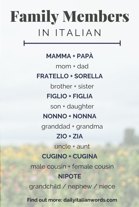 Here is a list of the most important family members in the Italian language! Find out more about the word 'family' at dailyitalianwords.com. #italian #italiano #italianlanguage #italianlessons Italian Last Names Families, Basic Italian Words, Italian Language Learning Basic, Italy Words, Cool Italian Words, Words In Italian, Beautiful Italian Words, Indefinite Articles, Definite And Indefinite Articles