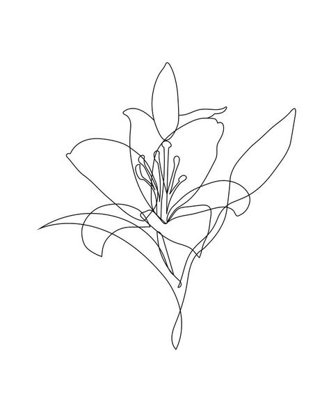 Lilies Drawing, Lily Flower Tattoos, Line Art Flowers, Lily Tattoo, Line Art Tattoos, Floral Drawing, Discreet Tattoos, Dainty Tattoos, Best Tattoo Designs