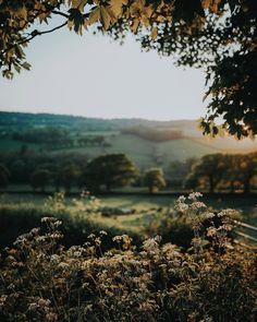 330 Nature Aesthetic ideas in 2022 | nature aesthetic, nature, aesthetic The English Countryside, English Countryside Photography, English Countryside Flowers, English Countryside Spring, Moody Spring Aesthetic, English Countryside Landscape, Countryside Aesthetic Wallpaper, English Countryside Wallpaper, Late Spring Aesthetic