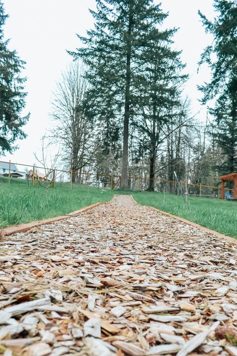 This wood chip path could also make for a great ground cover in a garden. It adds functionality and beauty to our orchard space! Orchard Ground Cover, Wood Chip Walkway, Wood Chip Driveway, Woodchip Pathways, Wood Chip Path, Wood Chips Garden, Home Orchard, Diy Pathway, Car Porch Design