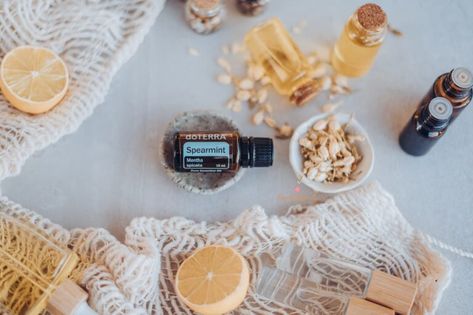 Spearmint Diffuser Blends, Frankincense Benefits, Turmeric Drink, Roman Chamomile Essential Oil, Copaiba Essential Oil, Top Essential Oils, Turmeric Essential Oil, Oregano Essential Oil, Basil Essential Oil