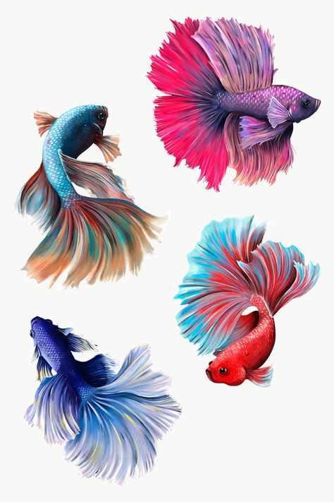 Betta Fish Drawing, Beta Fish Drawing, Beautiful Betta Fish, Betta Fish Tattoo, Fish Png, Fish Drawing, Watercolor Fish, Tatuaje A Color, Cool Pencil Drawings