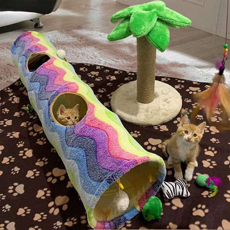 Unique Cat Bed, Kat Diy, Pet Bunny Rabbits, Cat Tunnel, Cat Bed Furniture, Pet Bunny, Animal Room, Rainbow Cat, Bunny Rabbits