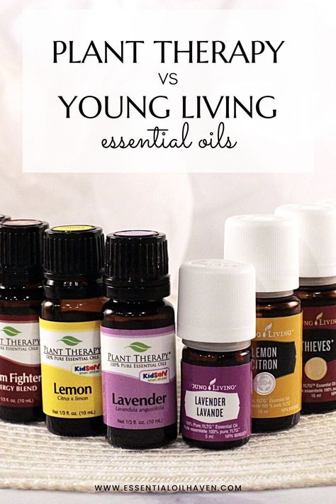 Plant Therapy Essential Oils Recipes, Young Living Purification, Essential Oils For Memory, Young Living Lemon, Valor Essential Oil, Joy Essential Oil, Plant Therapy Essential Oils, Diffusing Essential Oils, Essential Oil Brands