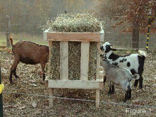 Do It Yourself Goat Feeder For Square Bales - http://www.ecosnippets.com/livestock-animals/do-it-yourself-goat-feeder-for-square-bales/ Goat Hay Feeder, Goat Feeder, Goat Shelter, Goat Pen, Goat House, Goat Care, Goat Barn, Raising Goats, Pygmy Goat