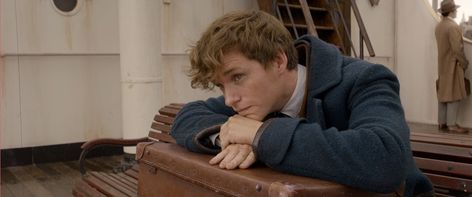 Why Newt Scamander is my new fictional crush Newt Scamander Aesthetic, Newton Scamander, Harry Potter Prequel, Newt Salamander, Beau Film, Movie Screenshots, Harry Potter Gif, Fantastic Beast, Newt Scamander