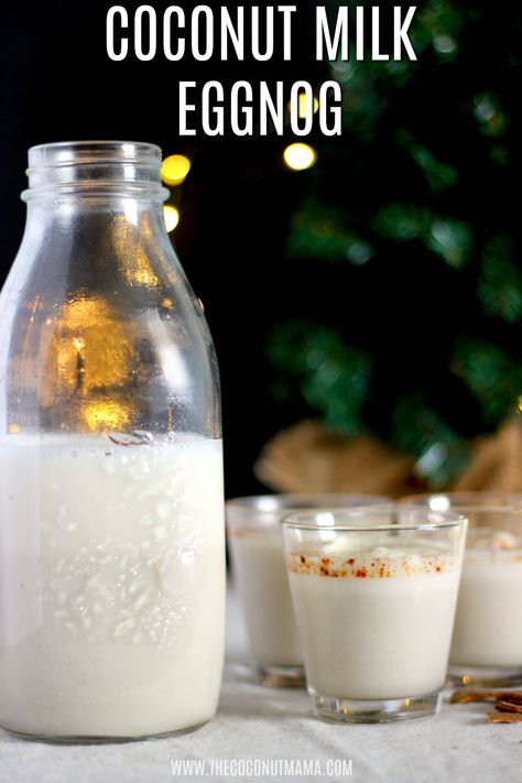 Coconut milk eggnog is easy to make and takes 6 ingredients! This recipe offers both vegan and keto options! Coconut Eggnog Recipe, Eggnog Pudding, Egg Nog Recipe, Coconut Eggnog, Homemade Coconut Milk, Thm Drinks, Flavored Waters, The Chunky Chef, Recipe Folder